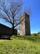 Tour-St-Martin